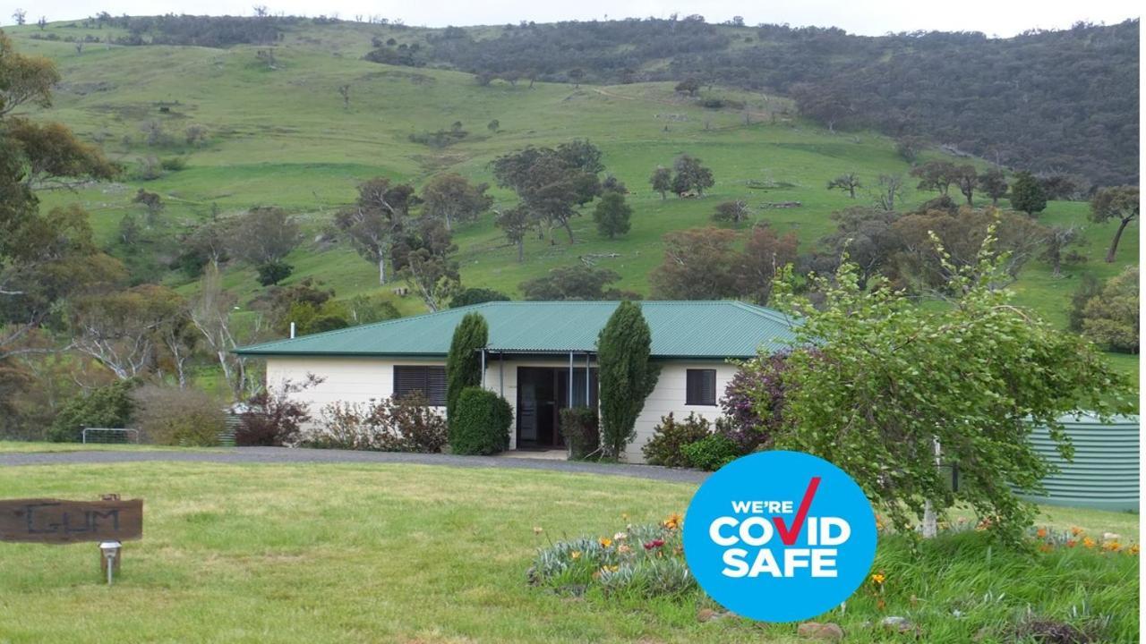 Elm Cottage Tumut Esterno foto