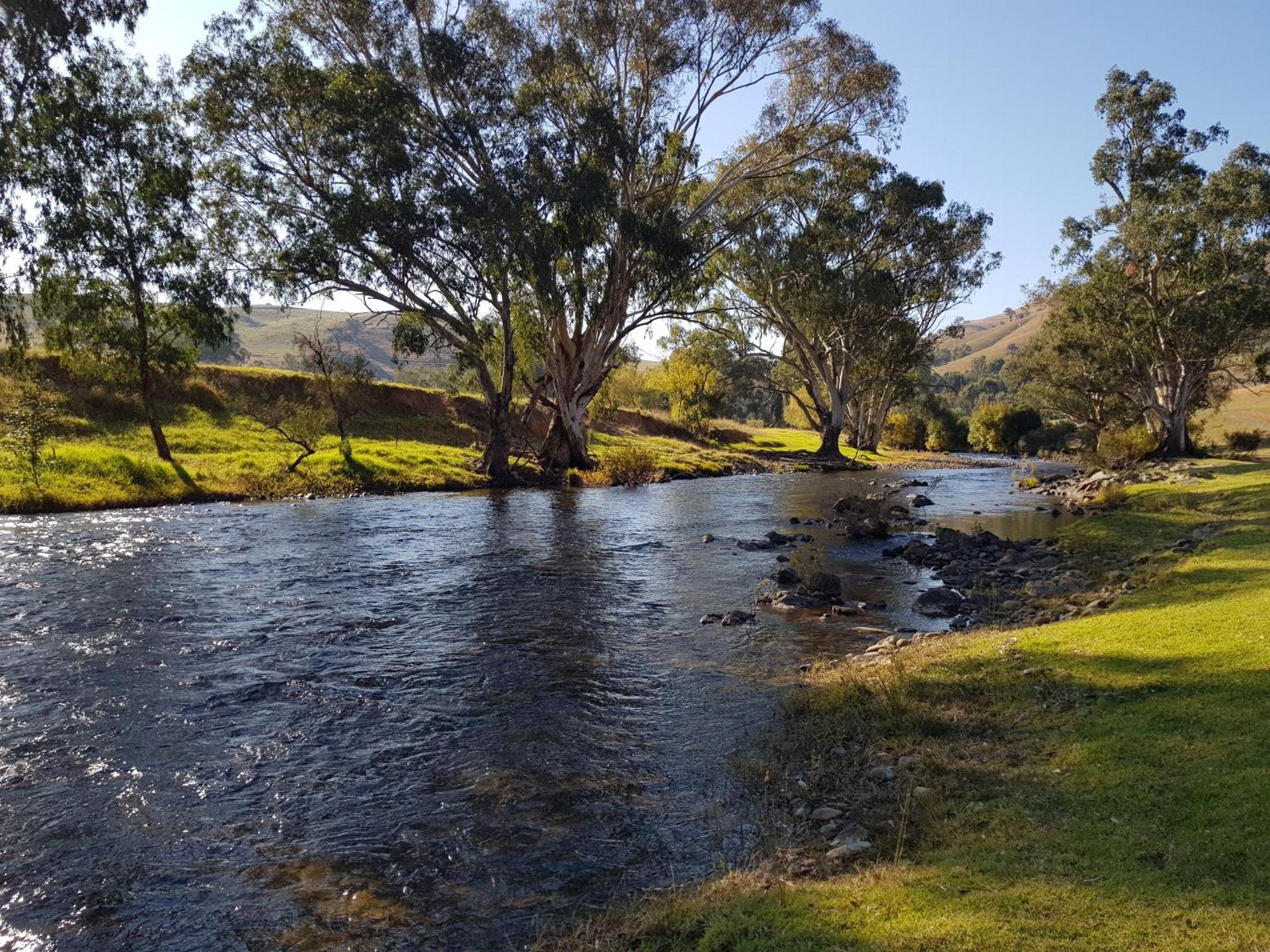 Elm Cottage Tumut Esterno foto