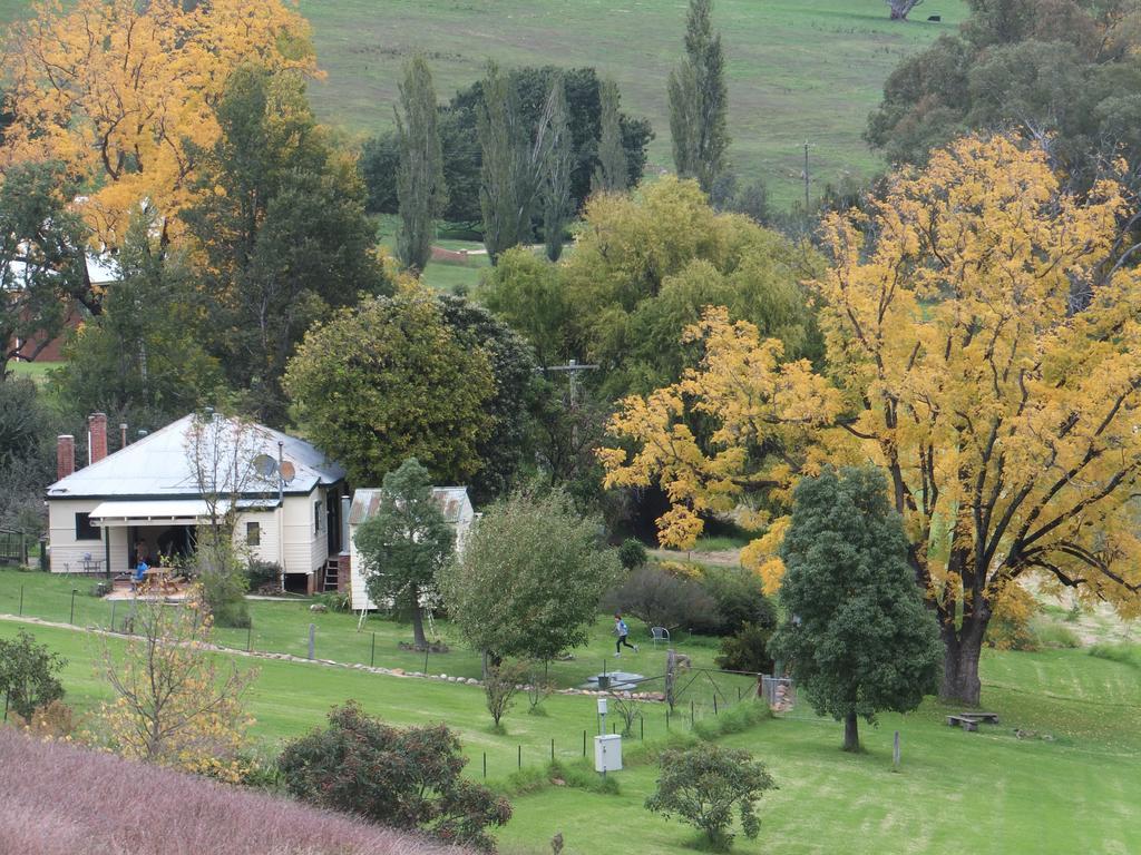 Elm Cottage Tumut Esterno foto