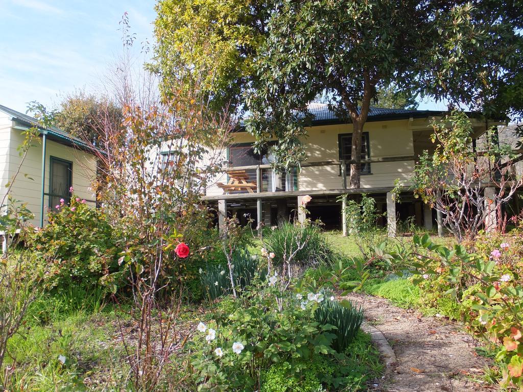Elm Cottage Tumut Esterno foto