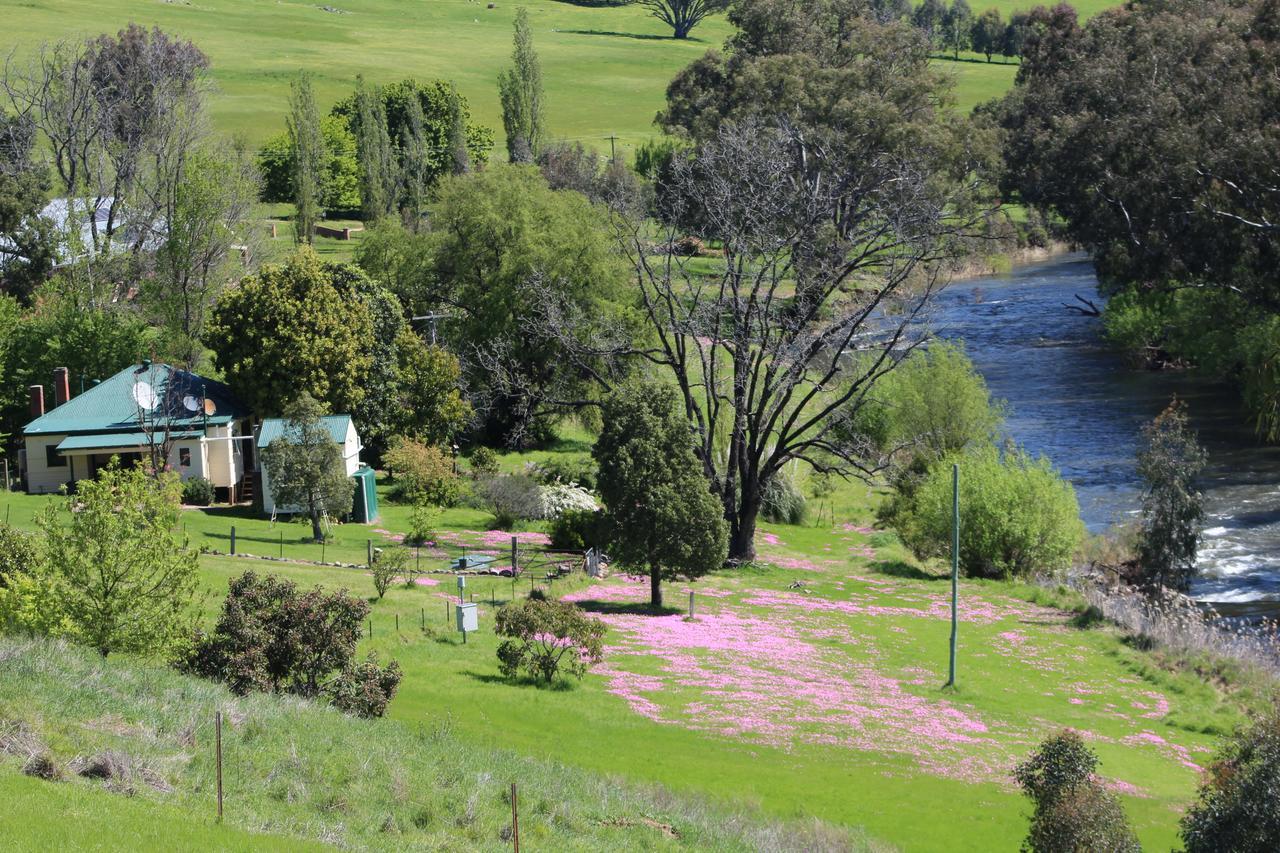 Elm Cottage Tumut Esterno foto
